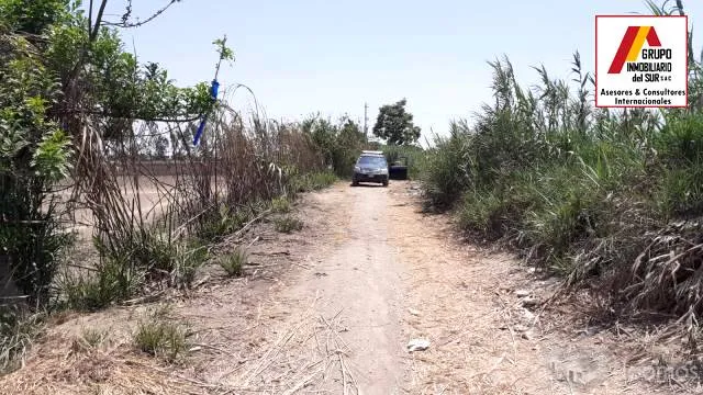 VENDO TERRENO AGRICOLA 5.5 HA SAN JOSÉ "EL CARMEN" - CHINCHA ALTA - 1