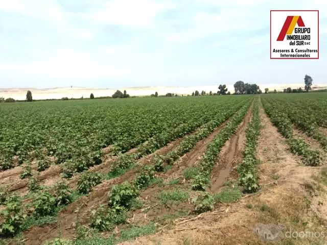 VENTA DE TERRENO PARA CASAS DE CAMPO Y PLAYA IDEAL PARA CABALLERIZAS DE 4.17 Has EN CAUCATO PISCO - 2
