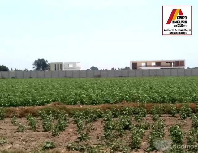 VENTA DE TERRENO PARA CASAS DE CAMPO Y PLAYA IDEAL PARA CABALLERIZAS DE 4.17 Has EN CAUCATO PISCO - 7