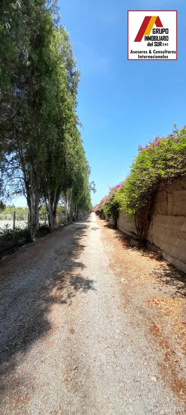 Vendo Lote para vivienda campestre en condominio - Chincha — foto 2
