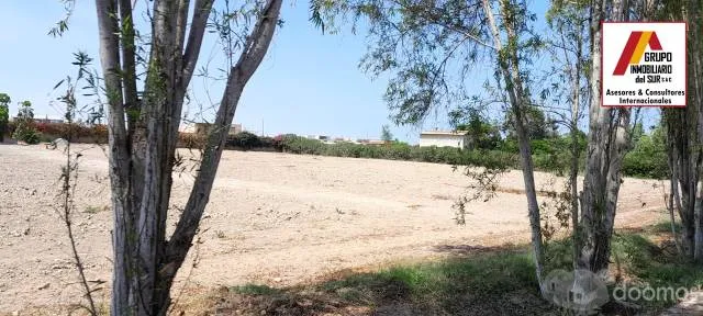 Vendo Lote para vivienda campestre en condominio - Chincha — foto 4