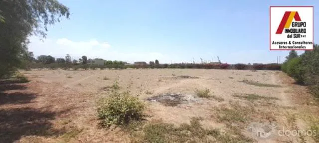 Vendo Lote para vivienda campestre en condominio - Chincha — foto 12