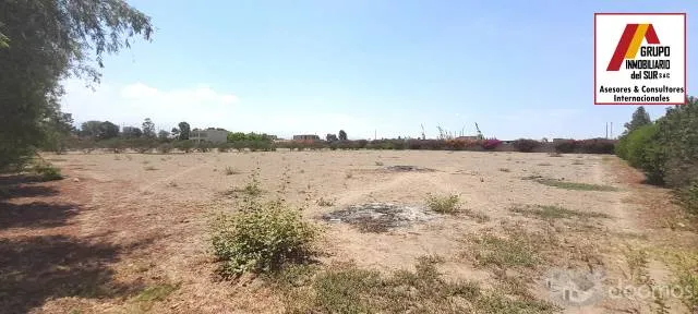 Vendo Lote para vivienda campestre en condominio - Chincha — foto 13