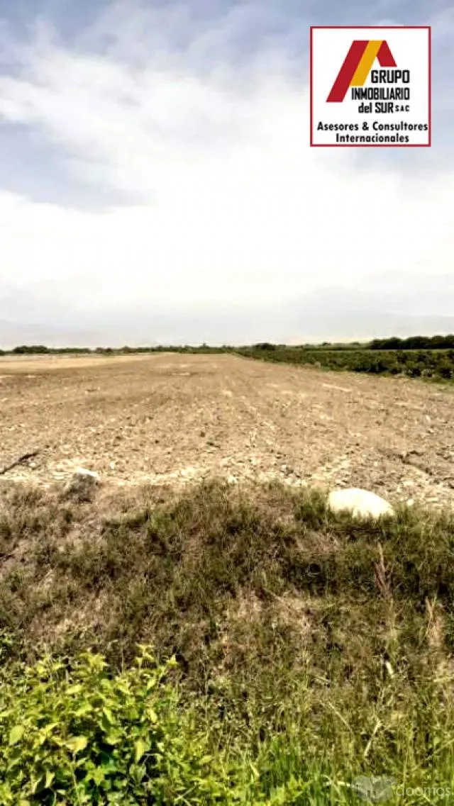 VENTA DE TERRENO RURAL 6 Has. HACIENDA SAN JOSÉ. EL CARMEN / (CHINCHA) - 1