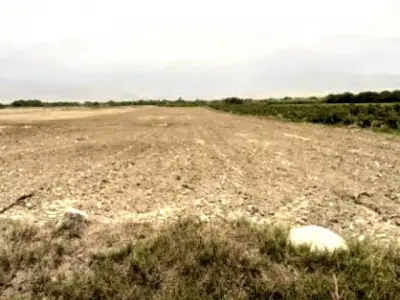 VENTA DE TERRENO RURAL 6 Has. HACIENDA SAN JOSÉ. EL CARMEN / (CHINCHA)