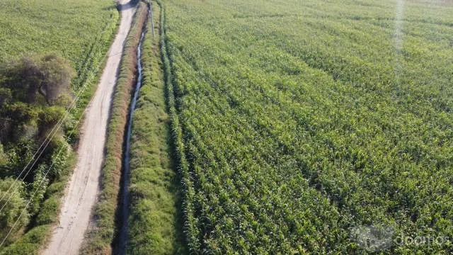 SE VENDE TERRENO DE 5.5 HECTAREAS - TOSCANIA, PISCO - 2