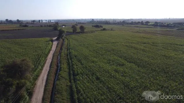 SE VENDE TERRENO DE 5.5 HECTAREAS - TOSCANIA, PISCO - 3
