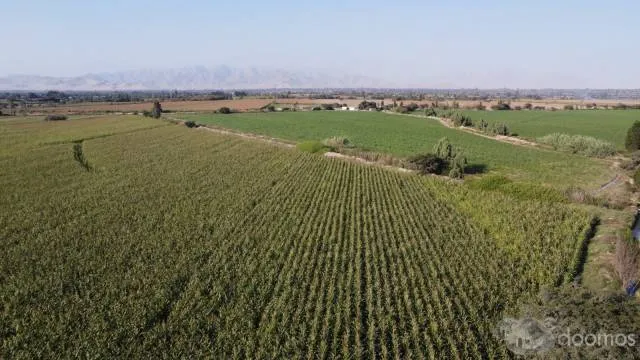 SE VENDE TERRENO DE 5.5 HECTAREAS - TOSCANIA, PISCO - 4