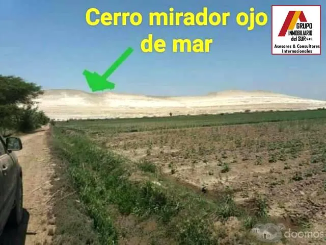 Venta de parcela de tierra agricola 4.58 has en Caucato-Pisco - 2