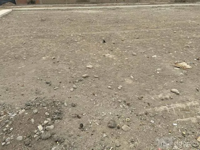 Terrenos desde 90m2 en San Pedro de Carabayllo — foto 4