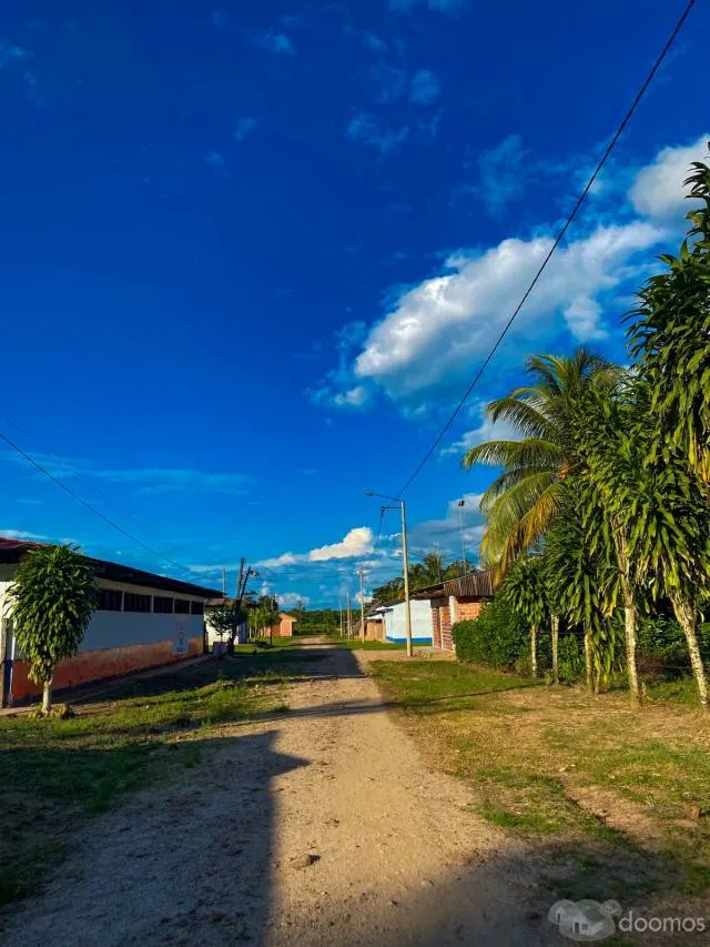 REMATE DE LOTES EN LA SELVA - 3