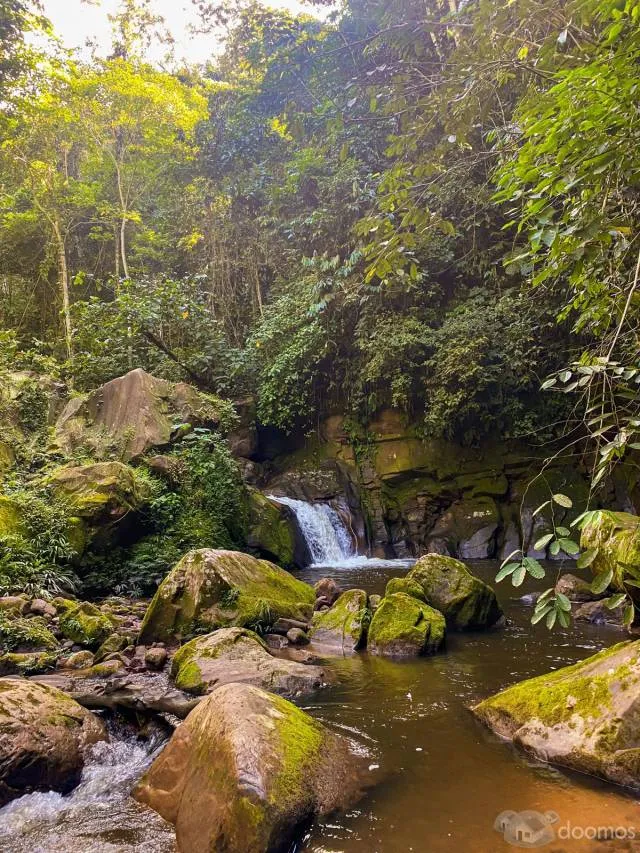 REMATE DE LOTES EN LA SELVA - 5