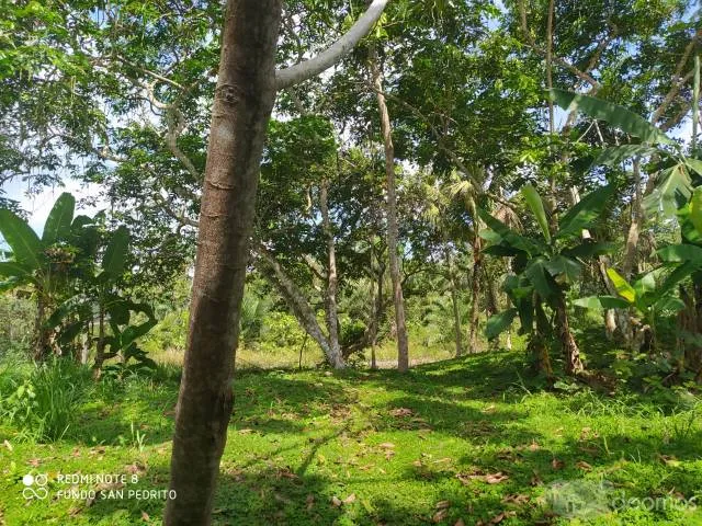 VENTA DE TERRENO CHACRA EN CARRETERA IQUITOS NAUTA - 2