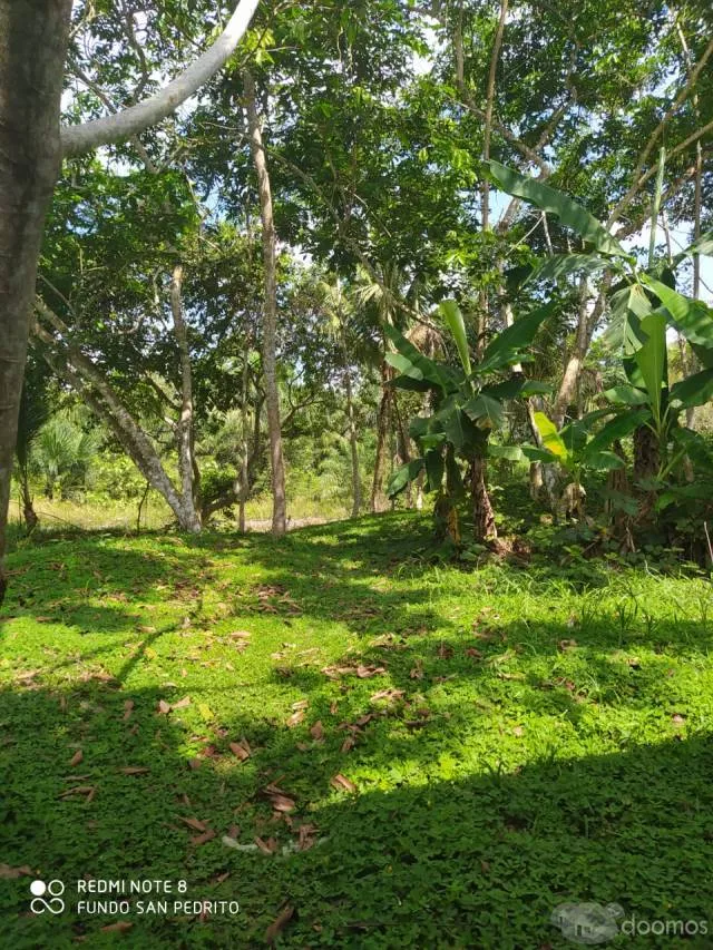 VENTA DE TERRENO CHACRA EN CARRETERA IQUITOS NAUTA - 4