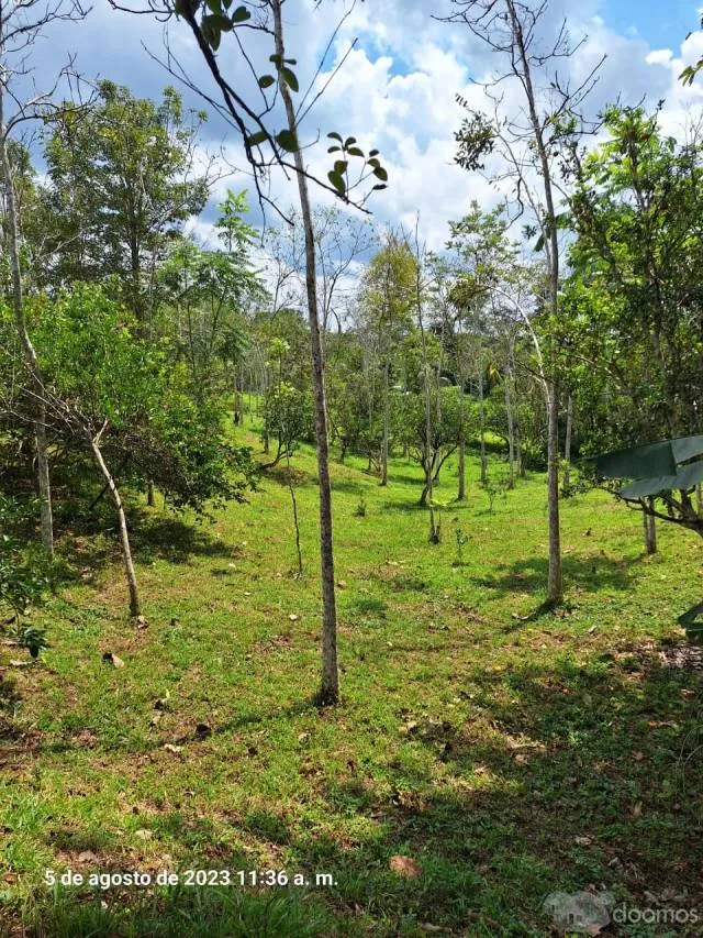 VENTA DE TERRENO CHACRA EN CARRETERA IQUITOS NAUTA - 6
