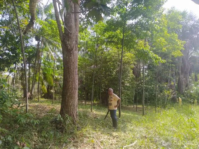 VENTA DE TERRENO CHACRA EN CARRETERA IQUITOS NAUTA - 7