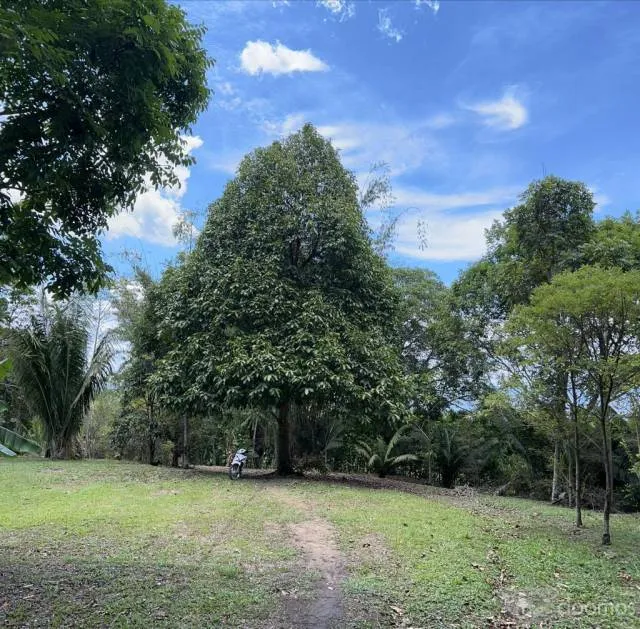 HERMOSO TERRENO CON CASA CONSTRUIDA TODOS LOS SERVICIOS PARA INVERSION — foto 2