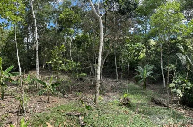 HERMOSO TERRENO CON CASA CONSTRUIDA TODOS LOS SERVICIOS PARA INVERSION — foto 4