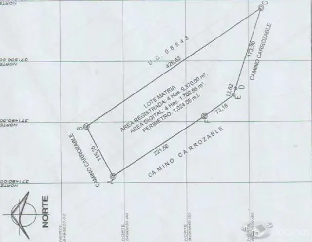 Venta de 1 parcela agrícola de 4.9370 has en Caucato alto – San Clemente - Pisco - 8