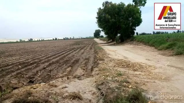 Venta de 1 parcela agrícola de 4.1731 has en Caucato alto – San Clemente - Pisco - 6