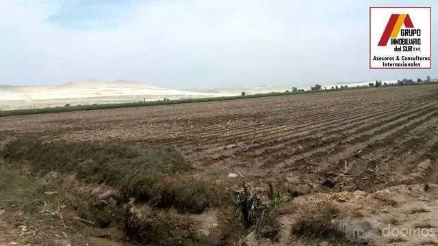 Venta de 1 parcela agrícola de 4.0142 has en Caucato alto – San Clemente - Pisco - 5