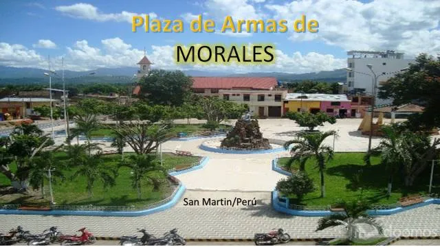 TARAPOTO VENDO LOTE 160mt2, cercado - 5