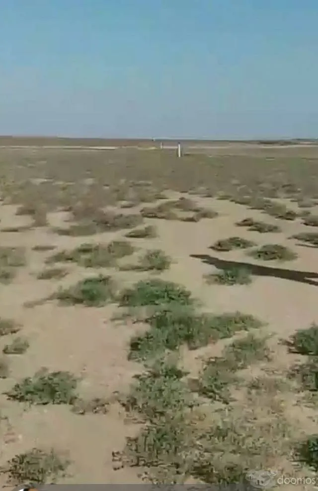 Venta Terreno Agrícola 50 Hectáreas - 1
