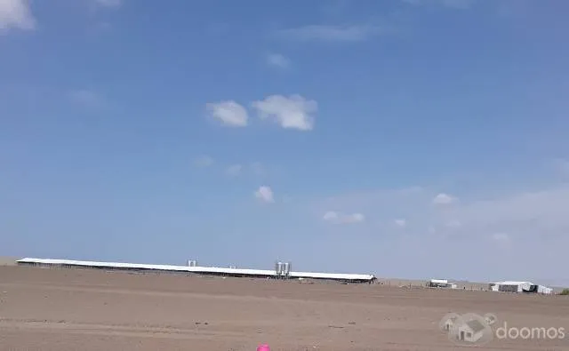 Venta Terreno Agrícola 50 Hectáreas - 7