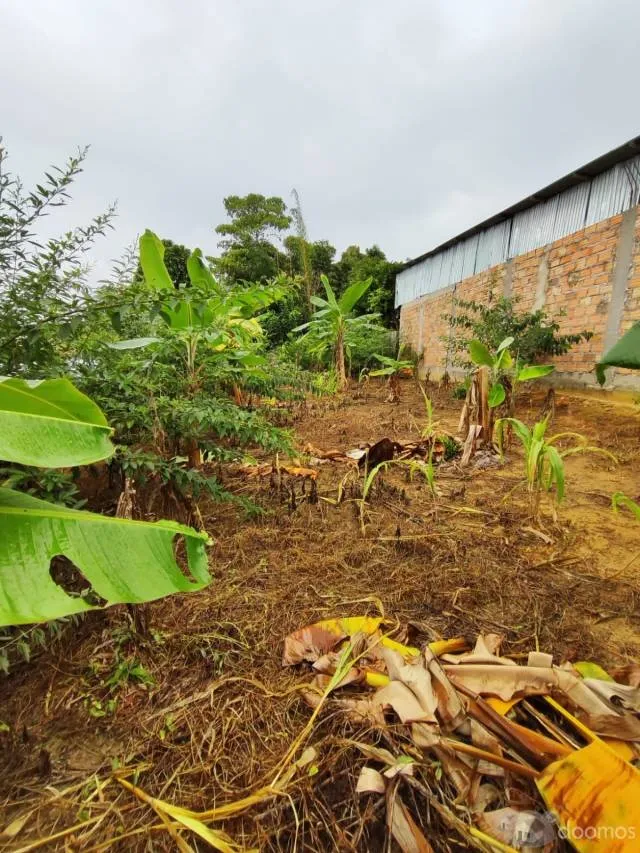 ¡DE OCASIÓN! – TERRENO CERCA A TARAPOTO - 6