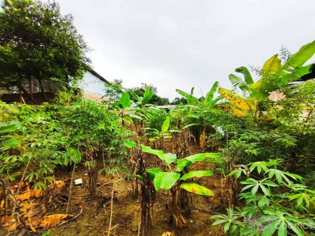 ¡DE OCASIÓN! – TERRENO CERCA A TARAPOTO - 7