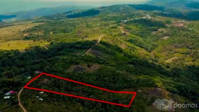 HERMOSO TERRENO EN LA SELVA PERUANA - SAN ANTONIO DE CUMBAZA - TARAPOTO — foto 5