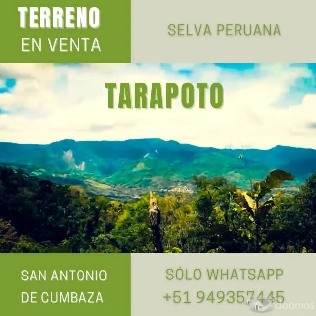 HERMOSO TERRENO EN LA SELVA PERUANA - SAN ANTONIO DE CUMBAZA - TARAPOTO — foto 6