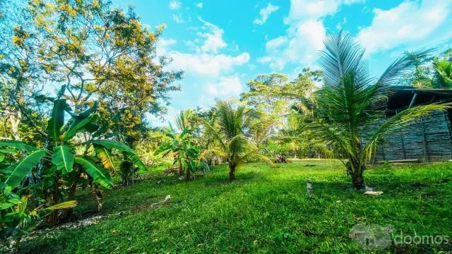HERMOSO TERRENO EN LA SELVA PERUANA - SAN ANTONIO DE CUMBAZA - TARAPOTO — foto 8
