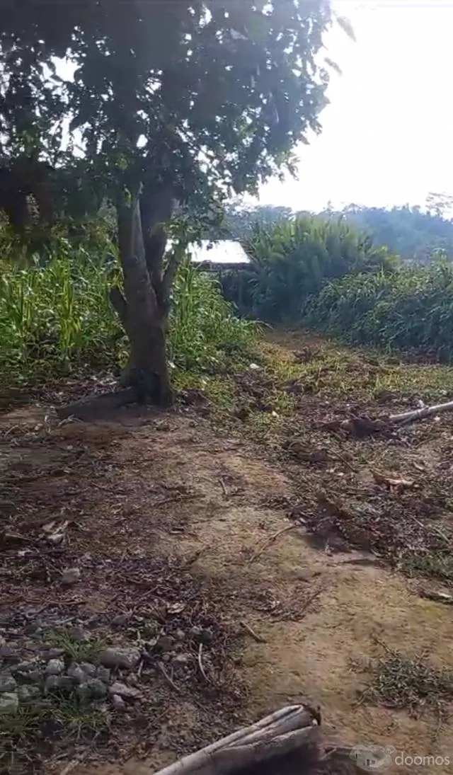 VENTA DE TERRENO EN FUNDO - 1