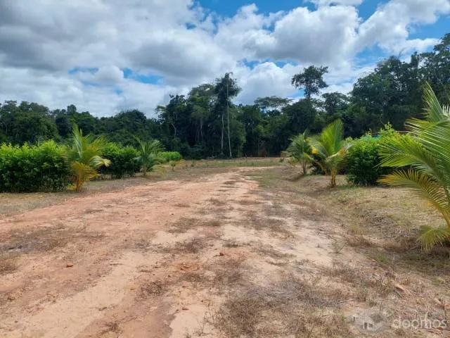 lotes en Tarapoto a 15 minutos del aeropuerto - 3