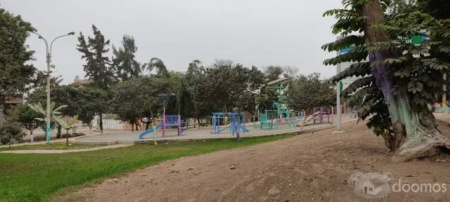 OPORTUNIDAD, VENTA DE DOS TERRENOS JUNTOS EN LA URB. SAN ANTONIO DE CARABAYLLO — foto 6