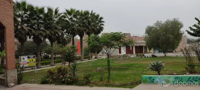 OPORTUNIDAD, VENTA DE DOS TERRENOS JUNTOS EN LA URB. SAN ANTONIO DE CARABAYLLO — foto 7