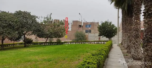 OPORTUNIDAD, VENTA DE DOS TERRENOS JUNTOS EN LA URB. SAN ANTONIO DE CARABAYLLO — foto 8