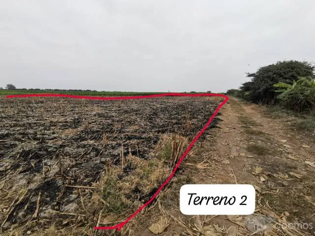 Terreno agricola en Pisco 8 hectárea aprox - 4
