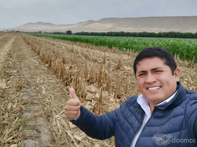Terreno agricola en Pisco 8 hectárea aprox - 8