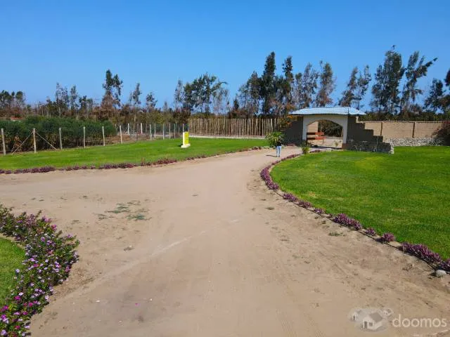 TERRENOS CON MÁS DE 1000MT2 EN CONDOMINIO ECOLÓGICO "DUNAS DE PUR PUR" - 1