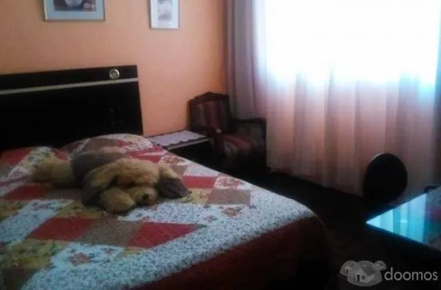 Alquilo habitaciónes amobladas con baño propio en La Molina — foto 2