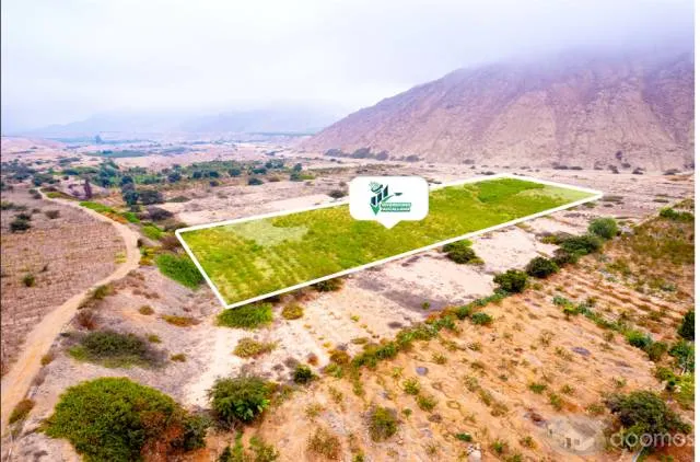 Inversiones Aucallama — foto 3