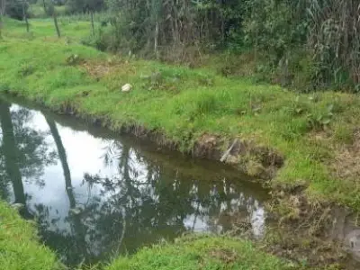 VENTA DE TERRENO DE 44,224 M2 ó 4.42 HÁS EN "LAS PAMPAS DE MALCAT" ZONA DE MALCAT - CELENDIN - CAJAMARCA.