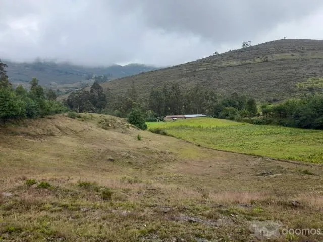 VENTA DE TERRENO DE 44,224 M2 ó 4.42 HÁS EN "LAS PAMPAS DE MALCAT" ZONA DE MALCAT - CELENDIN - CAJAMARCA. - 2