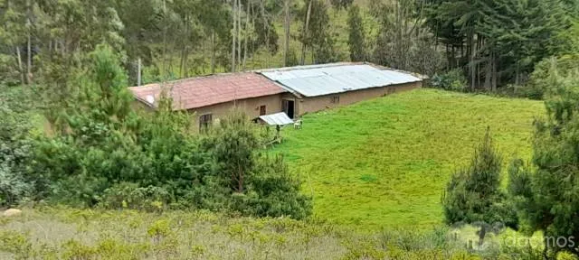 VENTA DE TERRENO DE 44,224 M2 ó 4.42 HÁS EN "LAS PAMPAS DE MALCAT" ZONA DE MALCAT - CELENDIN - CAJAMARCA. - 3