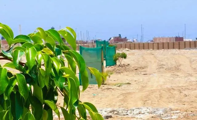 OCASIÓN TERRENO EN VENTA HUANCHACO DESDE 1000 m² — foto 3