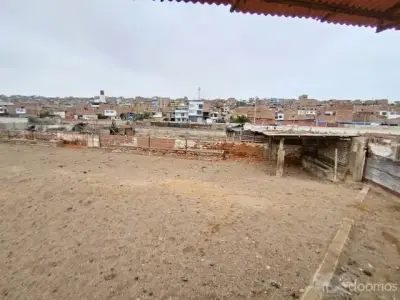 Miniatura 9