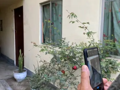 DEPARTAMENTO MAS COCHERA (1er piso)