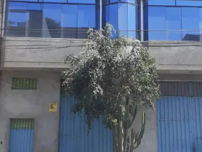 LOCAL INDUSTRIAL O COMERCIAL